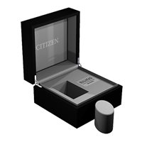 Armbanduhr Citizen Herr Bullhead in Titan AV0080-88E - AV0080-88E